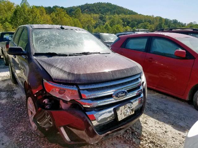 2FMDK4JC4CBA37076 - 2012 FORD EDGE SEL MAROON photo 1