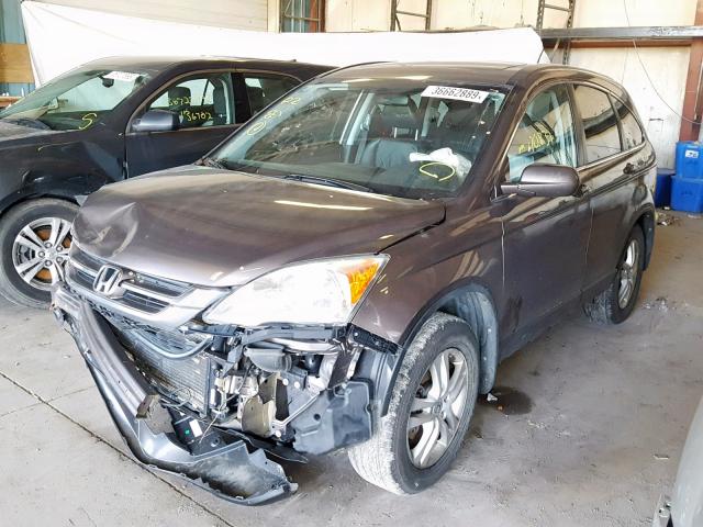 5J6RE4H76BL028656 - 2011 HONDA CR-V EXL BROWN photo 2