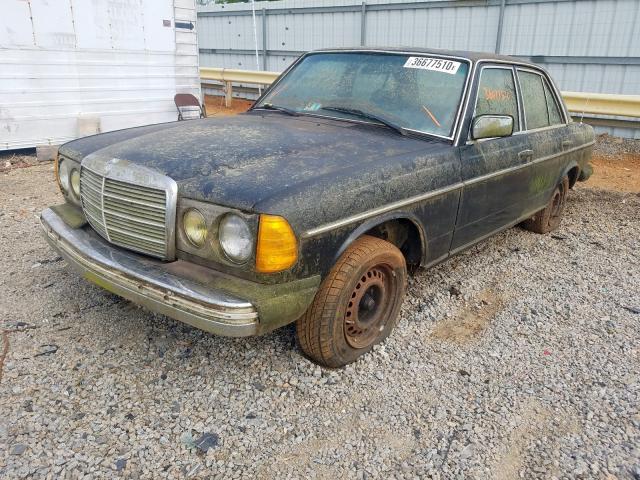 12312312211586 - 1981 MERCEDES-BENZ 240 D  photo 2