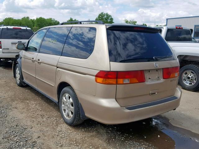 5FNRL18602B023912 - 2002 HONDA ODYSSEY EX GOLD photo 3