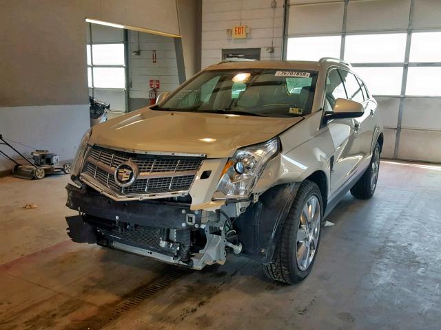 3GYFNEEY2AS540218 - 2010 CADILLAC SRX PERFOR BEIGE photo 2