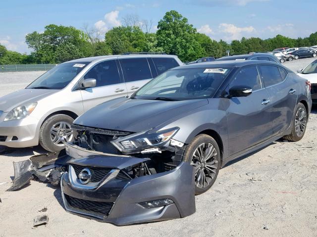 1N4AA6AP0GC441464 - 2016 NISSAN MAXIMA 3.5 GRAY photo 2