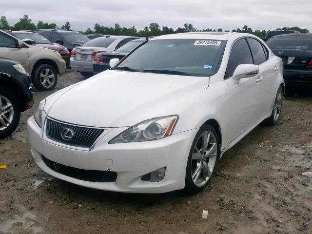 JTHBF5C21A2100100 - 2010 LEXUS IS 250 WHITE photo 2