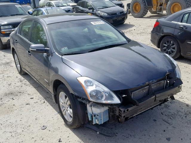 1N4CL2AP7AC149992 - 2010 NISSAN ALTIMA HYB GRAY photo 1