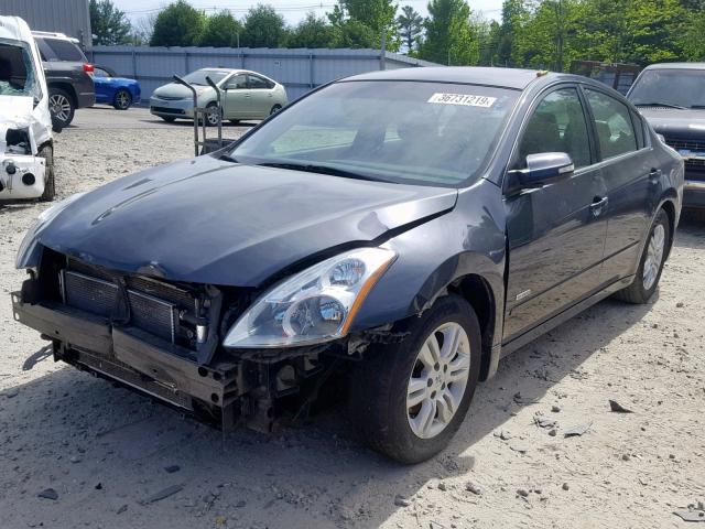 1N4CL2AP7AC149992 - 2010 NISSAN ALTIMA HYB GRAY photo 2