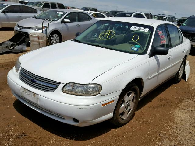 1G1ND52F55M186099 - 2005 CHEVROLET CLASSIC WHITE photo 2