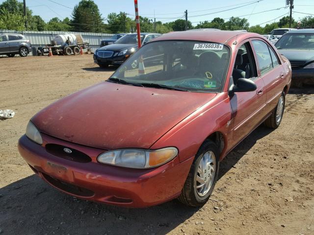 1FAFP13P1WW309234 - 1998 FORD ESCORT SE RED photo 2