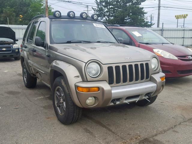 1J4GL38K62W366875 - 2002 JEEP LIBERTY RE GOLD photo 1