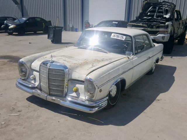 1202112003638 - 1964 MERCEDES-BENZ 300 SE WHITE photo 2