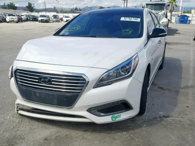 KMHE14L22GA030947 - 2016 HYUNDAI SONATA PLU WHITE photo 2