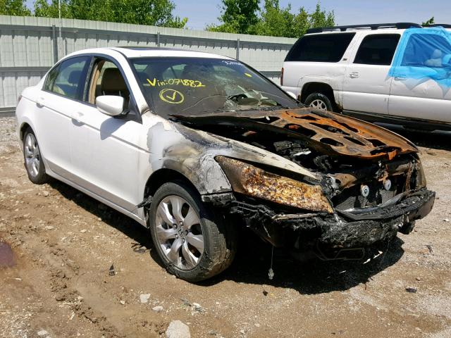 JHMCP26838C071882 - 2008 HONDA ACCORD EXL WHITE photo 1