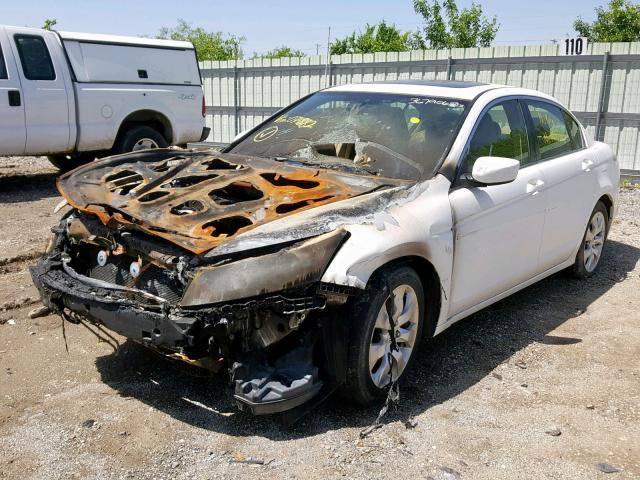 JHMCP26838C071882 - 2008 HONDA ACCORD EXL WHITE photo 2