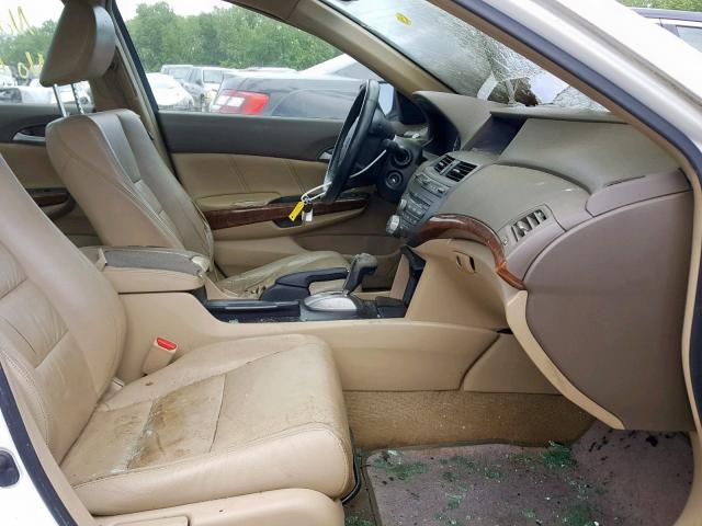 JHMCP26838C071882 - 2008 HONDA ACCORD EXL WHITE photo 5