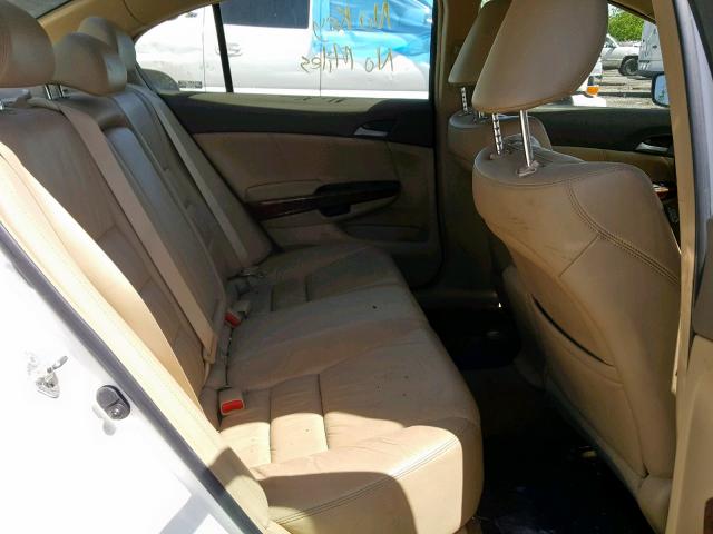 JHMCP26838C071882 - 2008 HONDA ACCORD EXL WHITE photo 6