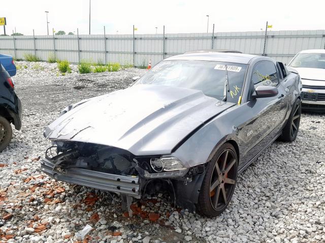 1ZVBP8CF8D5284471 - 2013 FORD MUSTANG GT GRAY photo 2