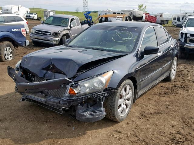 1HGCP36898A046165 - 2008 HONDA ACCORD EXL BLACK photo 2