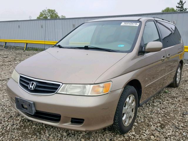 5FNRL18033B120924 - 2003 HONDA ODYSSEY EX GOLD photo 2