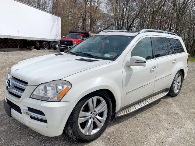 4JGBF7BE1BA747673 - 2011 MERCEDES-BENZ GL 450 4MATIC  photo 2