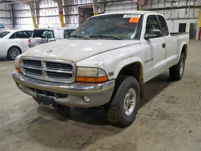 1B7GG22N9YS509244 - 2000 DODGE DAKOTA WHITE photo 2