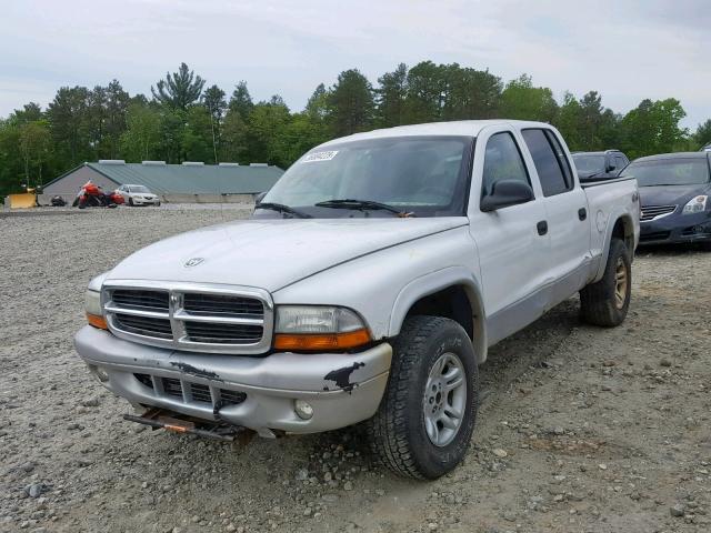 1D7HG48N13S340441 - 2003 DODGE DAKOTA QUA WHITE photo 2