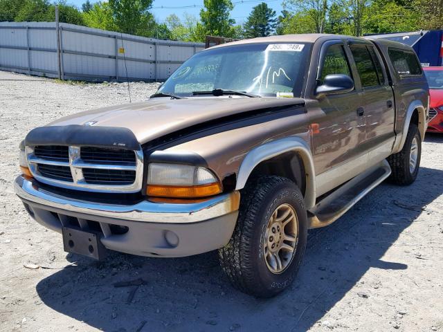 1B7GG2AN51S143323 - 2001 DODGE DAKOTA QUA TAN photo 2