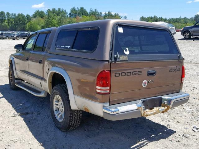 1B7GG2AN51S143323 - 2001 DODGE DAKOTA QUA TAN photo 3