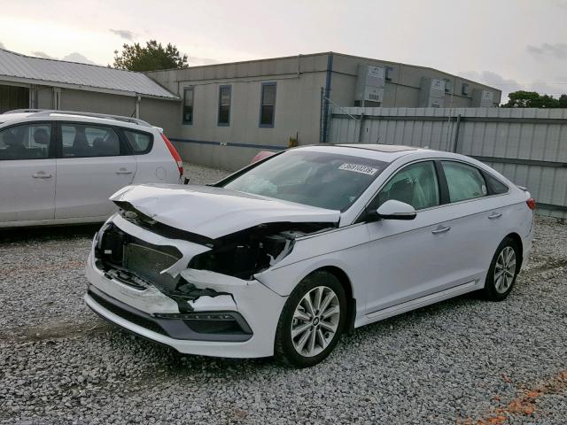 5NPE34AF6GH307581 - 2016 HYUNDAI SONATA SPO WHITE photo 2