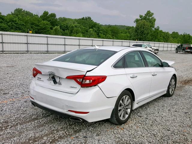 5NPE34AF6GH307581 - 2016 HYUNDAI SONATA SPO WHITE photo 4