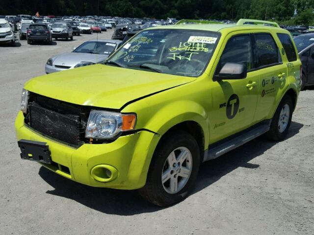 1FMCU49369KA89771 - 2009 FORD ESCAPE HYB GREEN photo 2