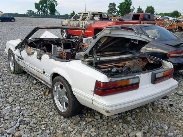 1FABP27M8EF177527 - 1984 FORD MUSTANG GL WHITE photo 3