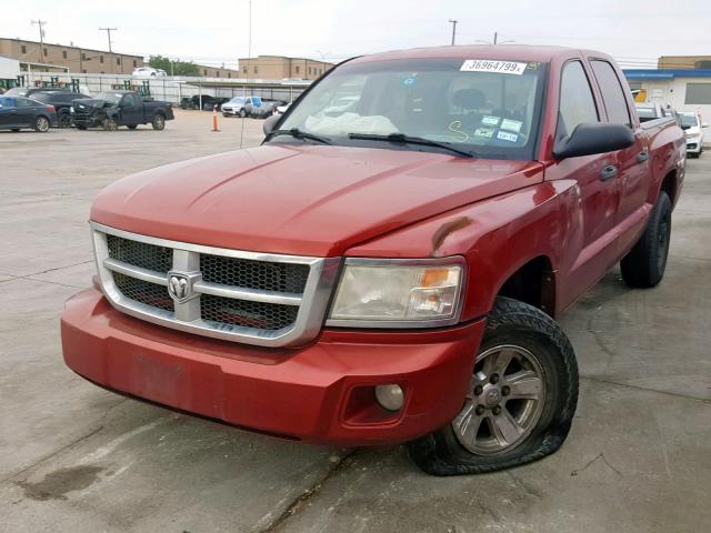 1D7HE48N58S535889 - 2008 DODGE DAKOTA QUA RED photo 2