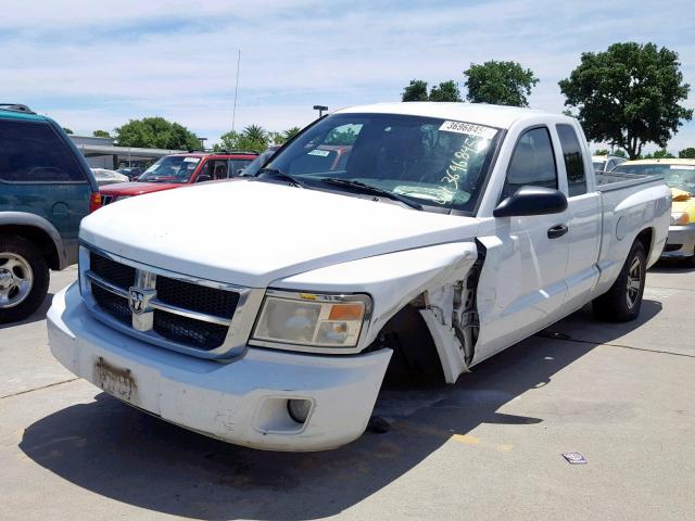 1D3HE42KX8S532101 - 2008 DODGE DAKOTA SLT WHITE photo 2