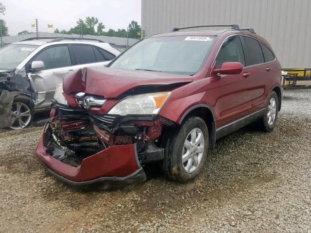 5J6RE487X8L010332 - 2008 HONDA CR-V EXL BURGUNDY photo 2