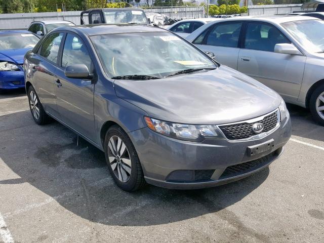 KNAFU4A28D5722926 - 2013 KIA FORTE EX GRAY photo 1