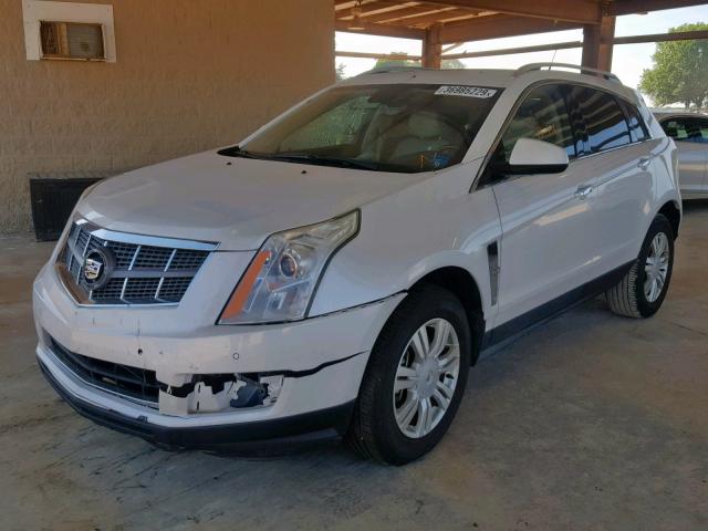 3GYFNAEY5AS548841 - 2010 CADILLAC SRX LUXURY WHITE photo 2