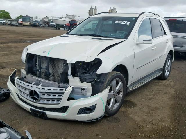 4JGBB5GB3BA734714 - 2011 MERCEDES-BENZ ML 350 WHITE photo 2