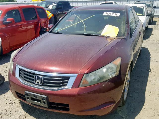 1HGCP26829A090455 - 2009 HONDA ACCORD EXL MAROON photo 2