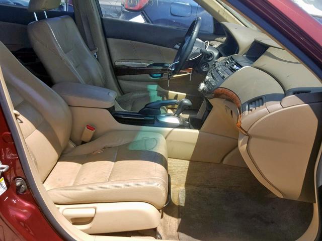 1HGCP26829A090455 - 2009 HONDA ACCORD EXL MAROON photo 5