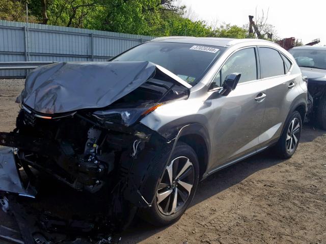 JTJBARBZ9J2150276 - 2018 LEXUS NX 300 BAS 金色 照片 2