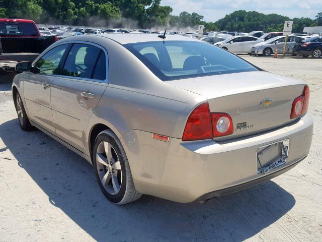 1G1ZC5E18BF306854 - 2011 CHEVROLET MALIBU 1LT 棕色 照片 3