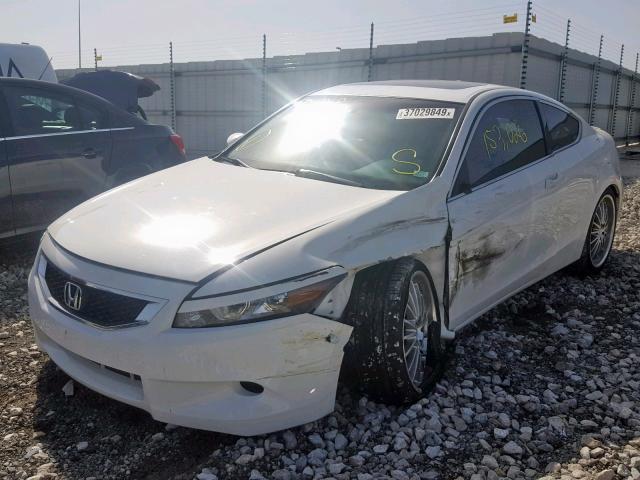 1HGCS12888A010931 - 2008 HONDA ACCORD EXL WHITE photo 2