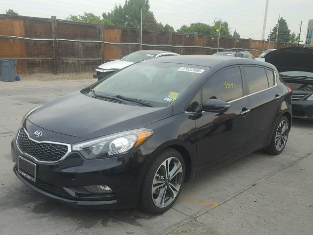 KNAFX5A85G5491490 - 2016 KIA FORTE EX BLACK photo 2