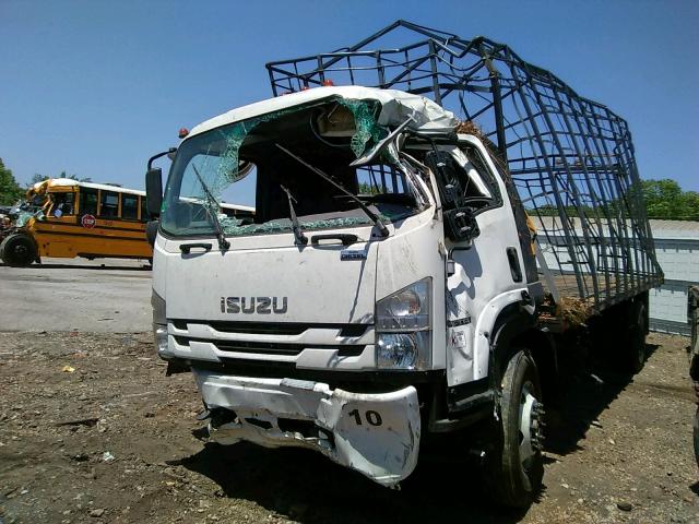 54DK6S160JSG01001 - 2018 ISUZU FTR WHITE photo 2