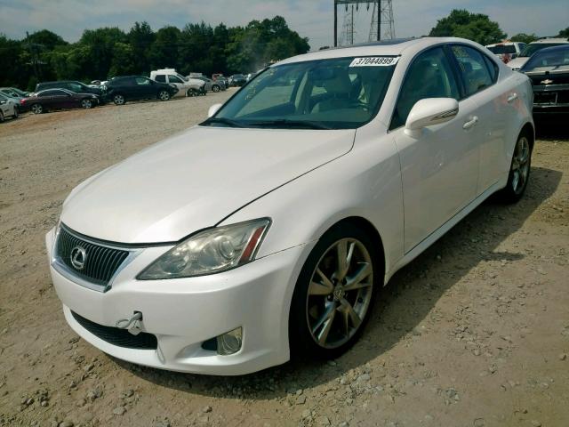 JTHBK262495093384 - 2009 LEXUS IS 250 SILVER photo 2