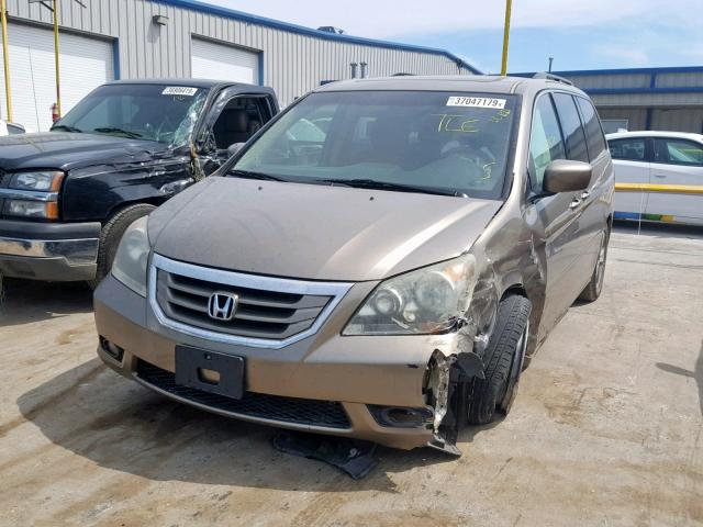 5FNRL38968B014646 - 2008 HONDA ODYSSEY TO GOLD photo 2