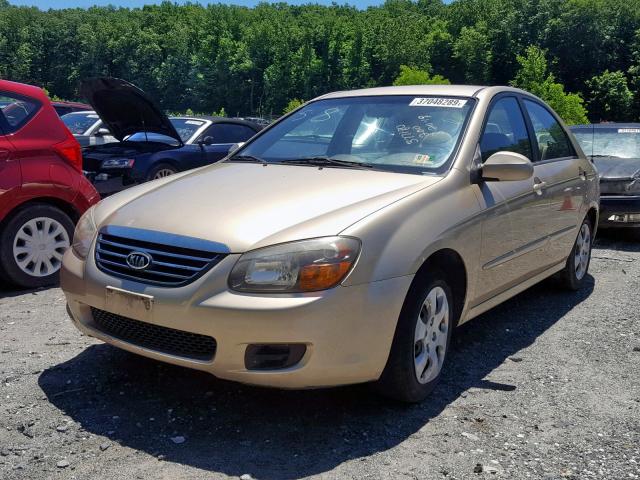 KNAFE221395665453 - 2009 KIA SPECTRA EX GOLD photo 2