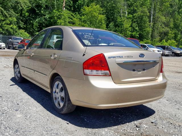 KNAFE221395665453 - 2009 KIA SPECTRA EX GOLD photo 3