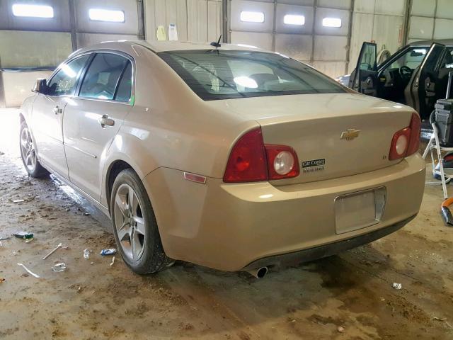 1G1ZH57B09F216311 - 2009 CHEVROLET MALIBU 1LT 棕色 照片 3