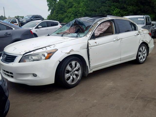 5KBCP3F81AB004702 - 2010 HONDA ACCORD EXL WHITE photo 2