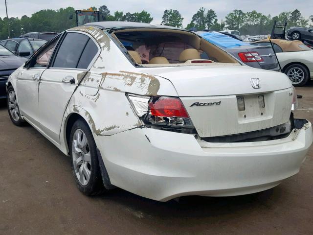 5KBCP3F81AB004702 - 2010 HONDA ACCORD EXL WHITE photo 3